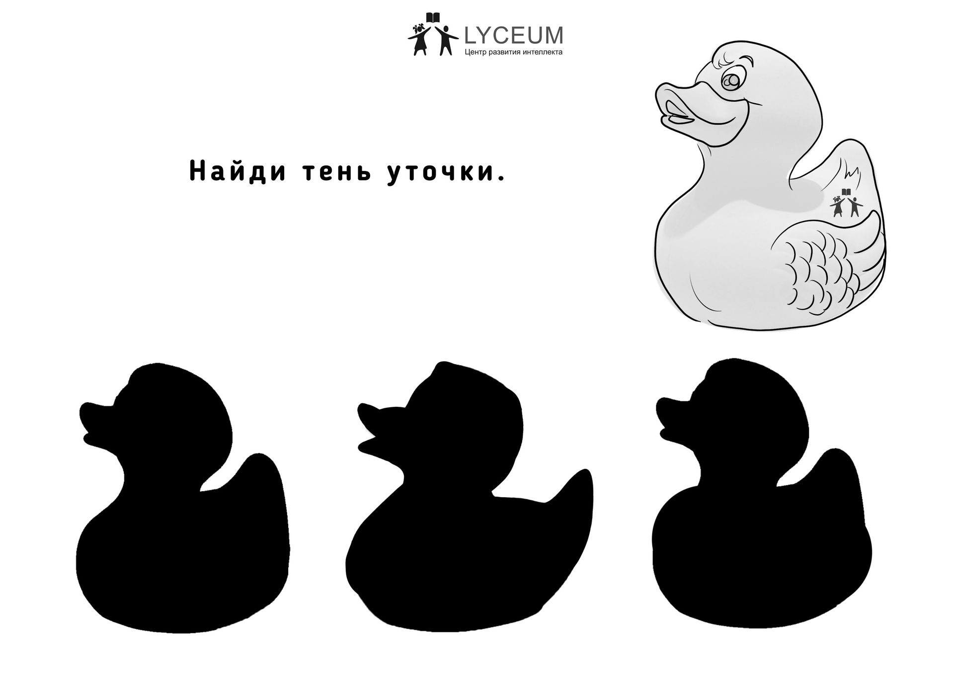 03-1